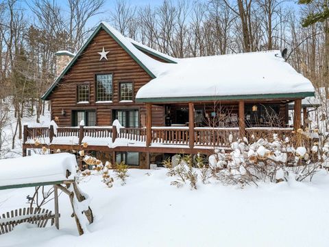 Photo of 17410 W WHEELER LAKE Lane, LAKEWOOD, WI 54138 (MLS # 50322569)