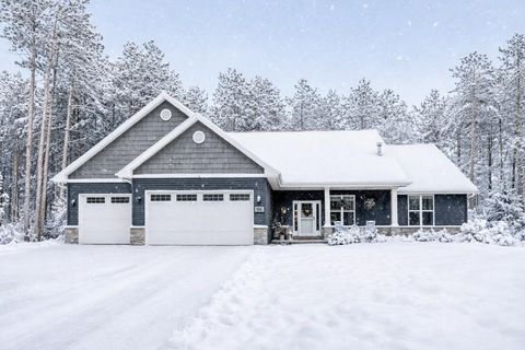 Photo of 878 MAPLE LEAF Trail, SOBIESKI, WI 54171 (MLS # 50320333)