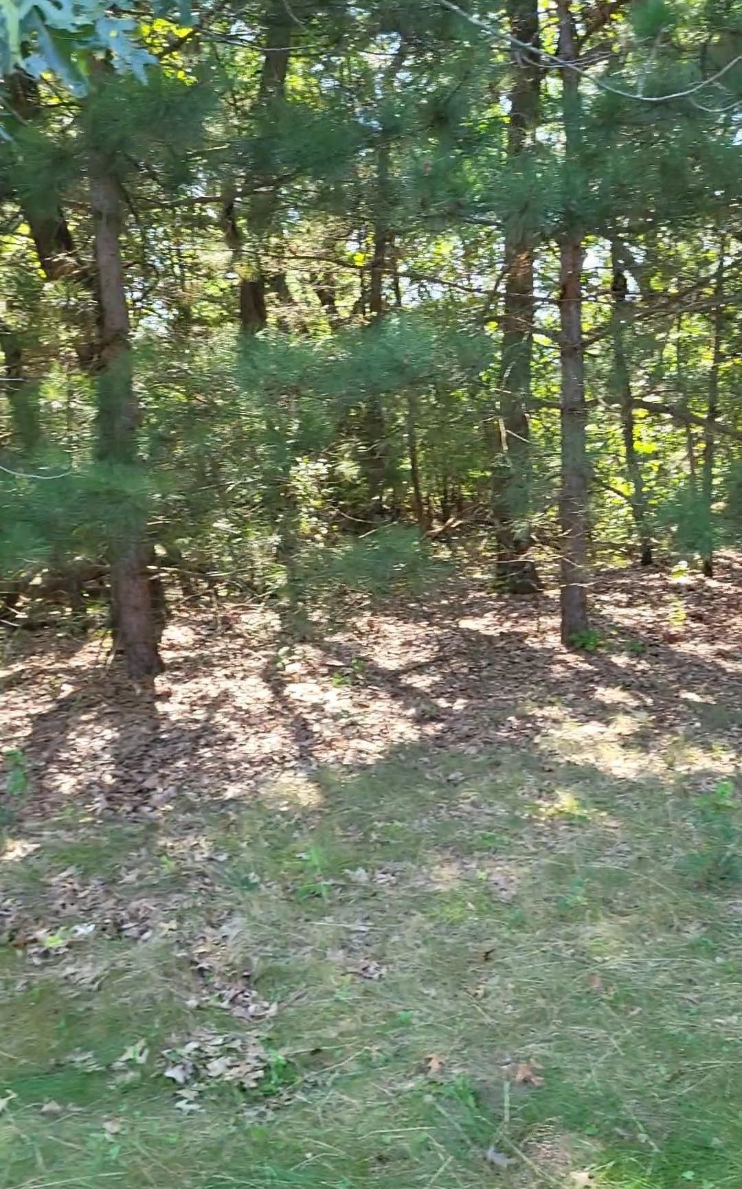 Montello, Wisconsin 53949, United States, ,Land,Active,135000