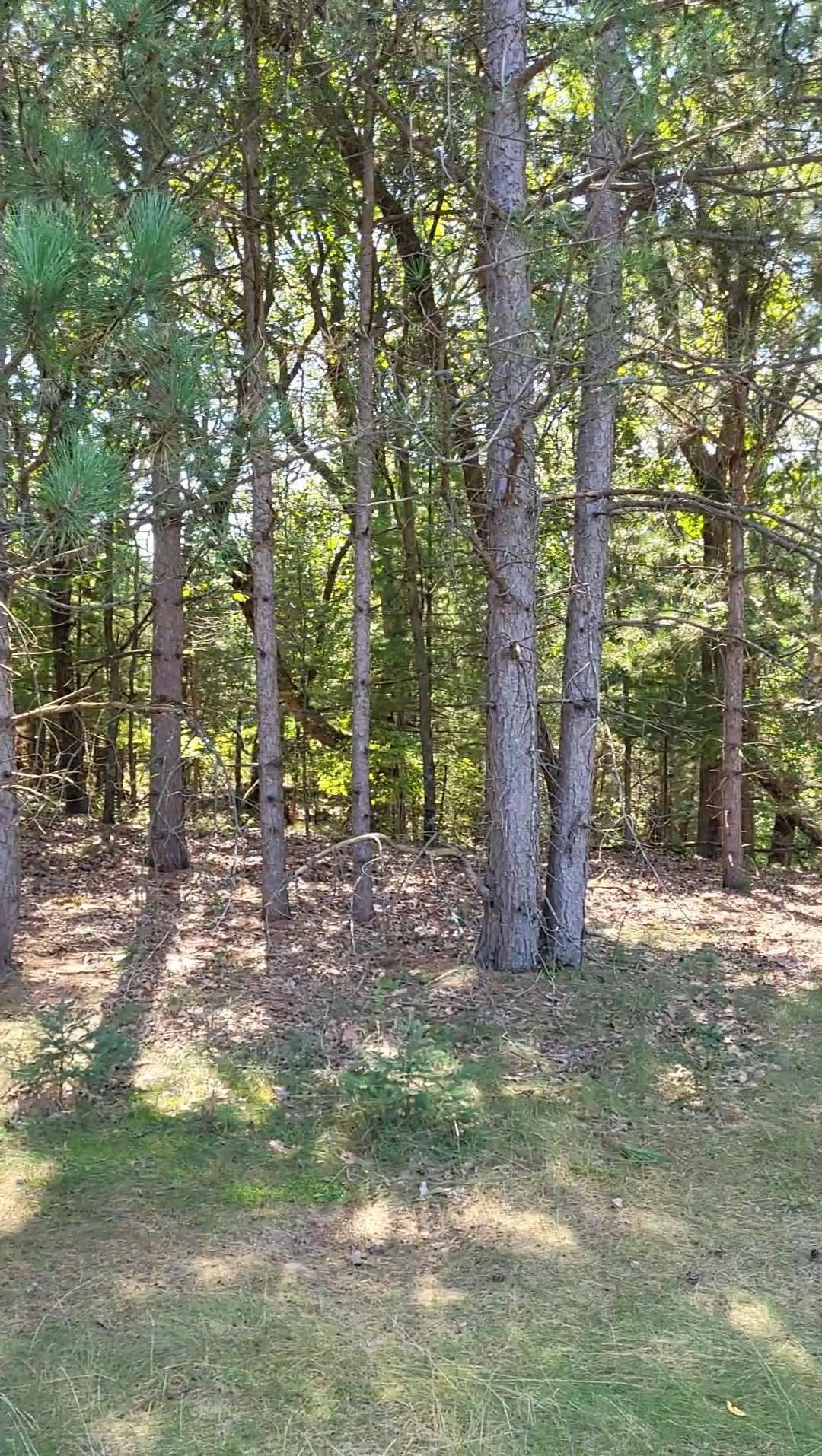 Montello, Wisconsin 53949, United States, ,Land,Active,135000