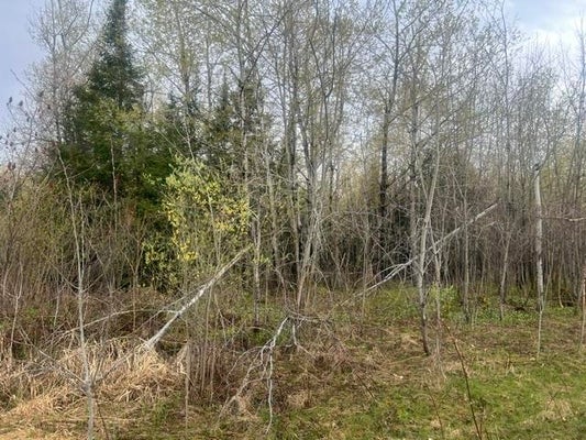ADDRESS PRIVATE, WABENO, WI 54566 - Image 5ed0d13e4824e78c22e5522203f3c455/816632824