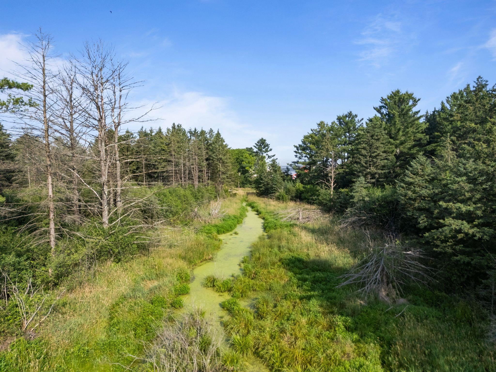 Weyauwega, Wisconsin 54983, United States, ,Land,Active,22584