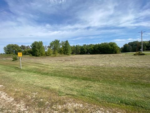 Photo of 1310 HAYWOOD Lane, SOBIESKI, WI 54171 (MLS # 50327218)
