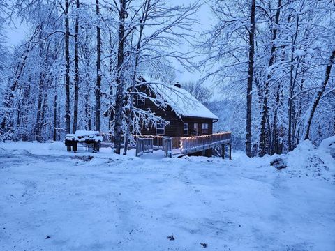 Photo of 14980 LOON RAPIDS Road, MOUNTAIN, WI 54149 (MLS # 50312613)