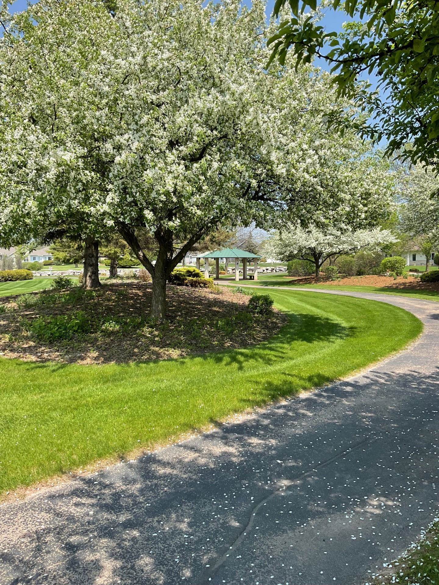 904 WHISPER FALLS Court