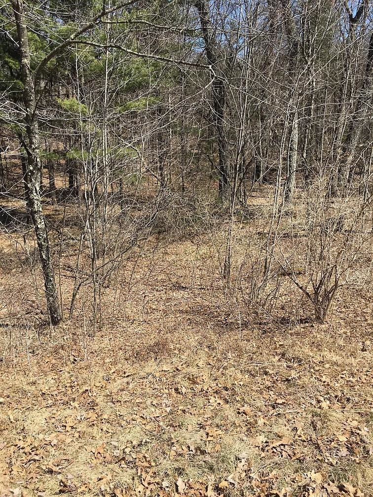 Shawano, Wisconsin 54166, United States, ,Land,Active,183200