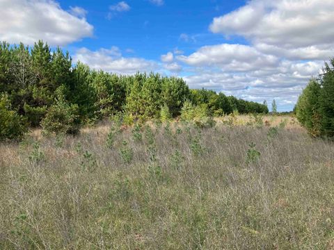 N BEACH Street PLAINFIELD WI 54966