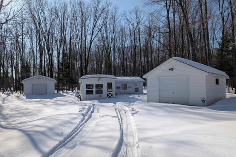 Photo of N9664 ISON Lane, PICKEREL, WI 54465 (MLS # 50321907)
