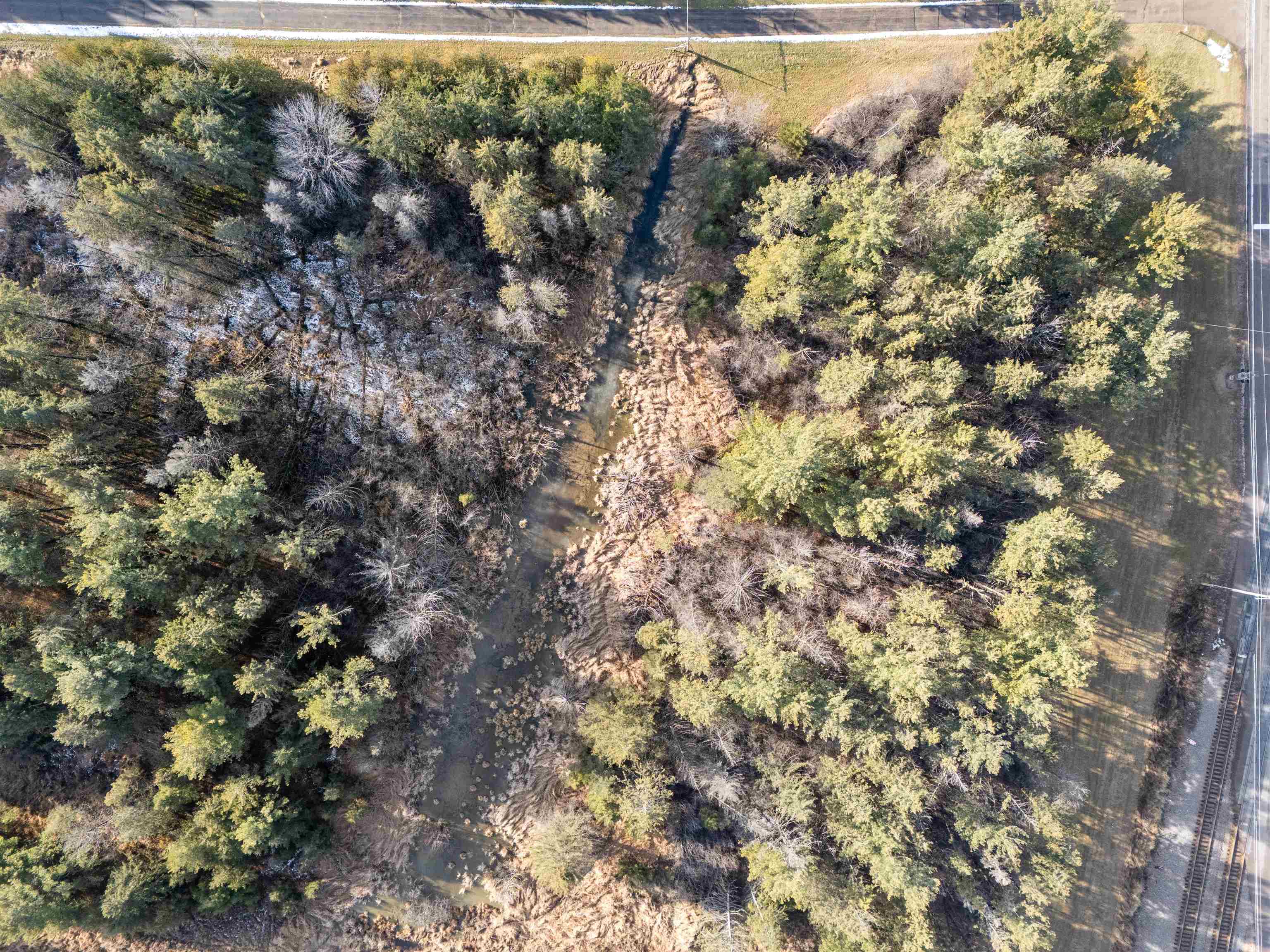 Weyauwega, Wisconsin 54983, United States, ,Land,Active,22589