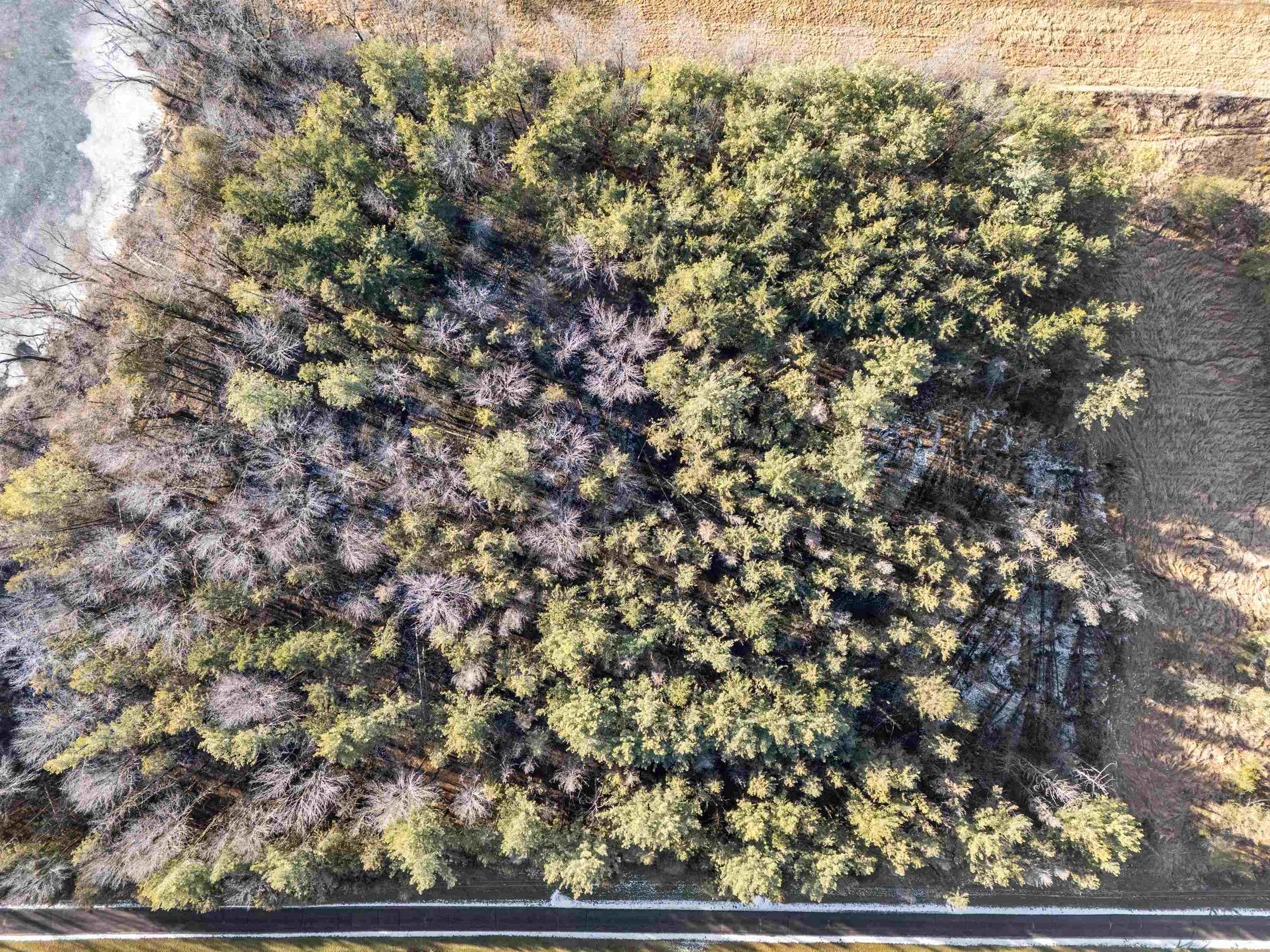 Weyauwega, Wisconsin 54983, United States, ,Land,Active,22589