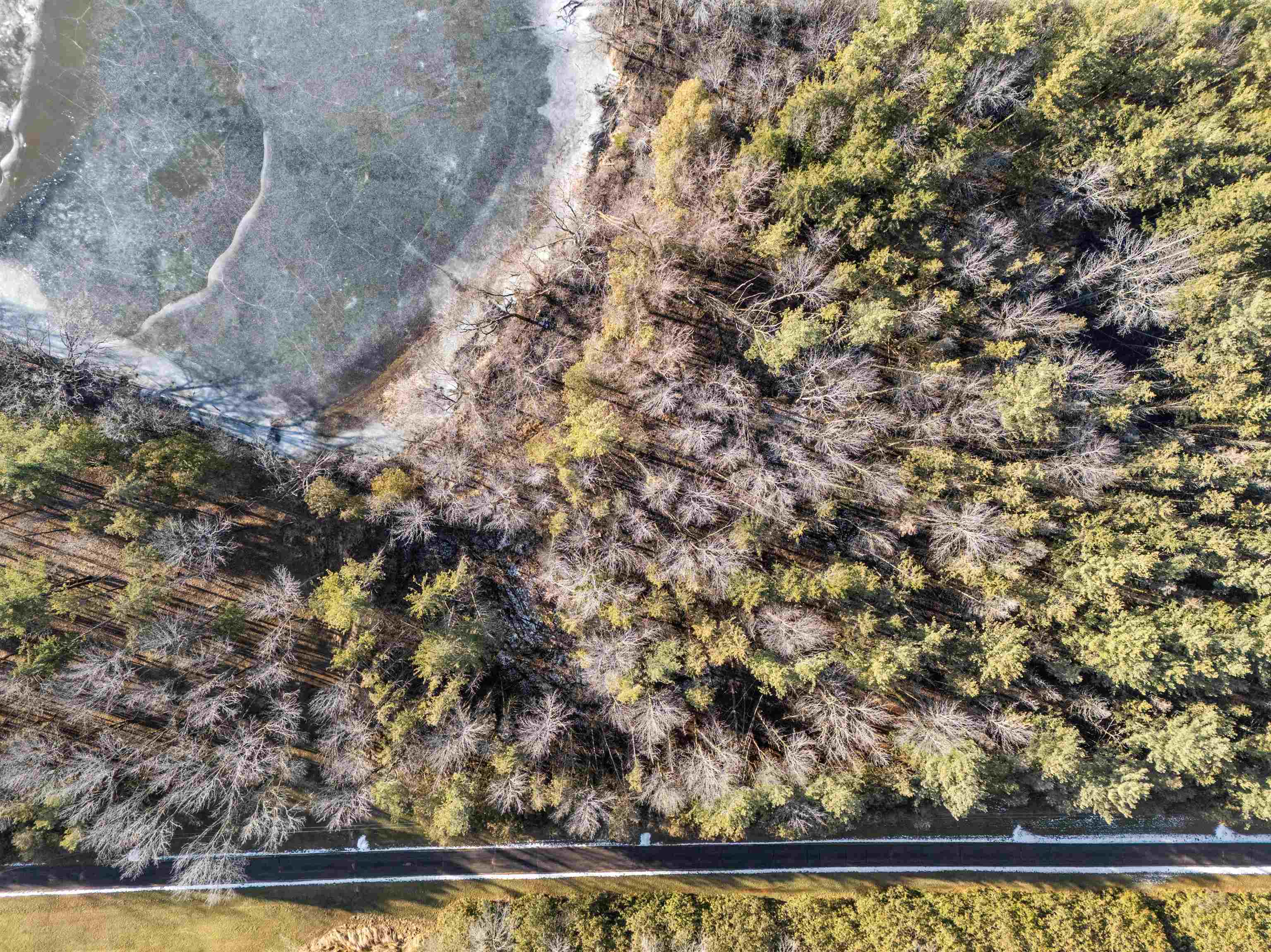 Weyauwega, Wisconsin 54983, United States, ,Land,Active,22589