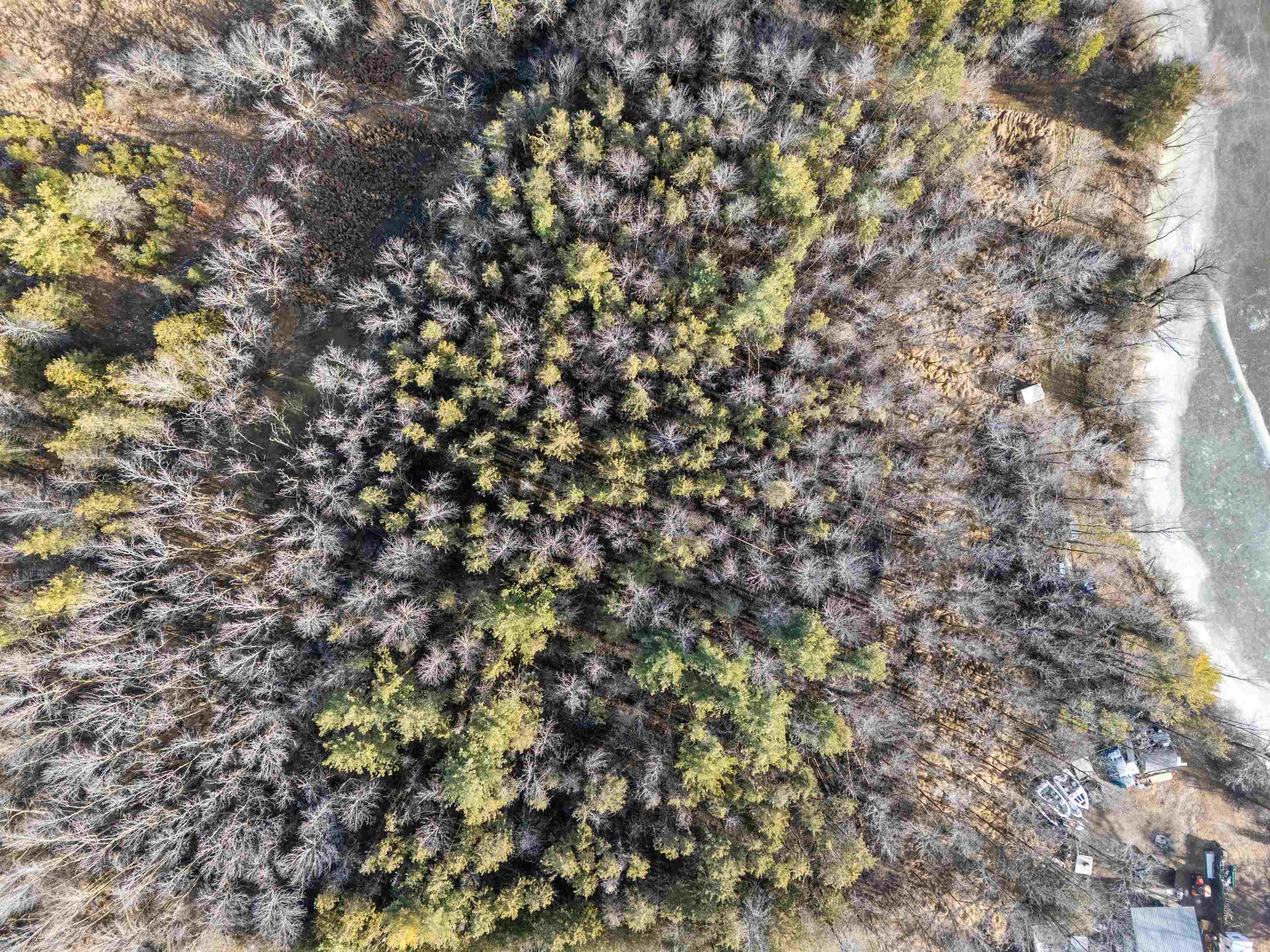 Weyauwega, Wisconsin 54983, United States, ,Land,Active,22589