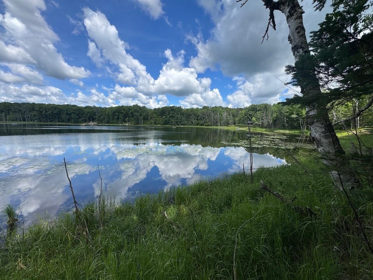 BLUE HERON Lane