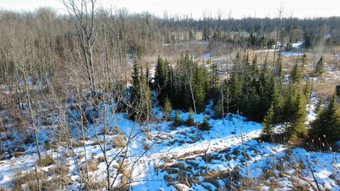 Photo of W4424 BIRCH CREEK Road, MENOMINEE, MI 49858 (MLS # 50321726)