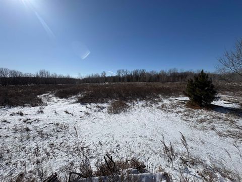 Photo of 1380 BEAUPREY Road, SHAWANO, WI 54166 (MLS # 50321526)