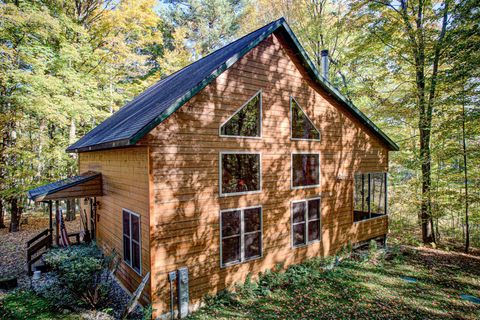 Photo of 6883 LITTLE LONG LAKE Lane, WABENO, WI 54466 (MLS # 50315996)
