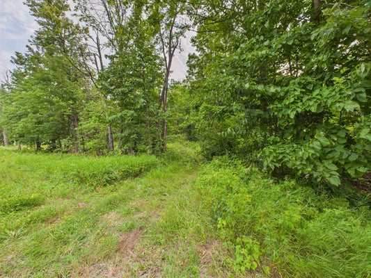 ARGONNE ST, ARGONNE, WI 54511 - Image 7dba7b06bedaa290bece0df40cf7c53a/315603046