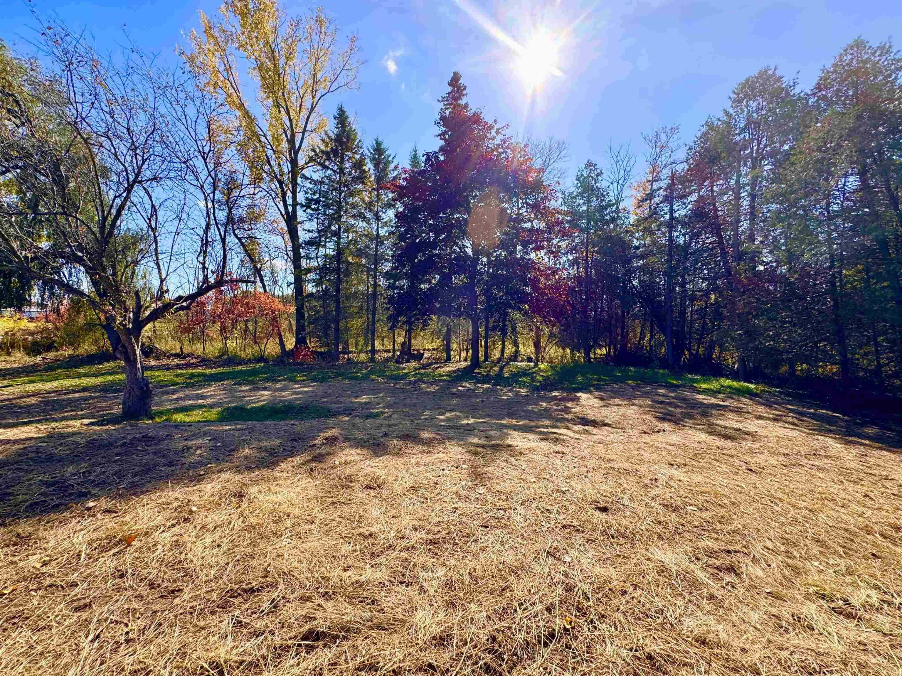 Pound, Wisconsin 54161, United States, 3 Bedrooms Bedrooms, ,2 BathroomsBathrooms,Residential,Active,230569