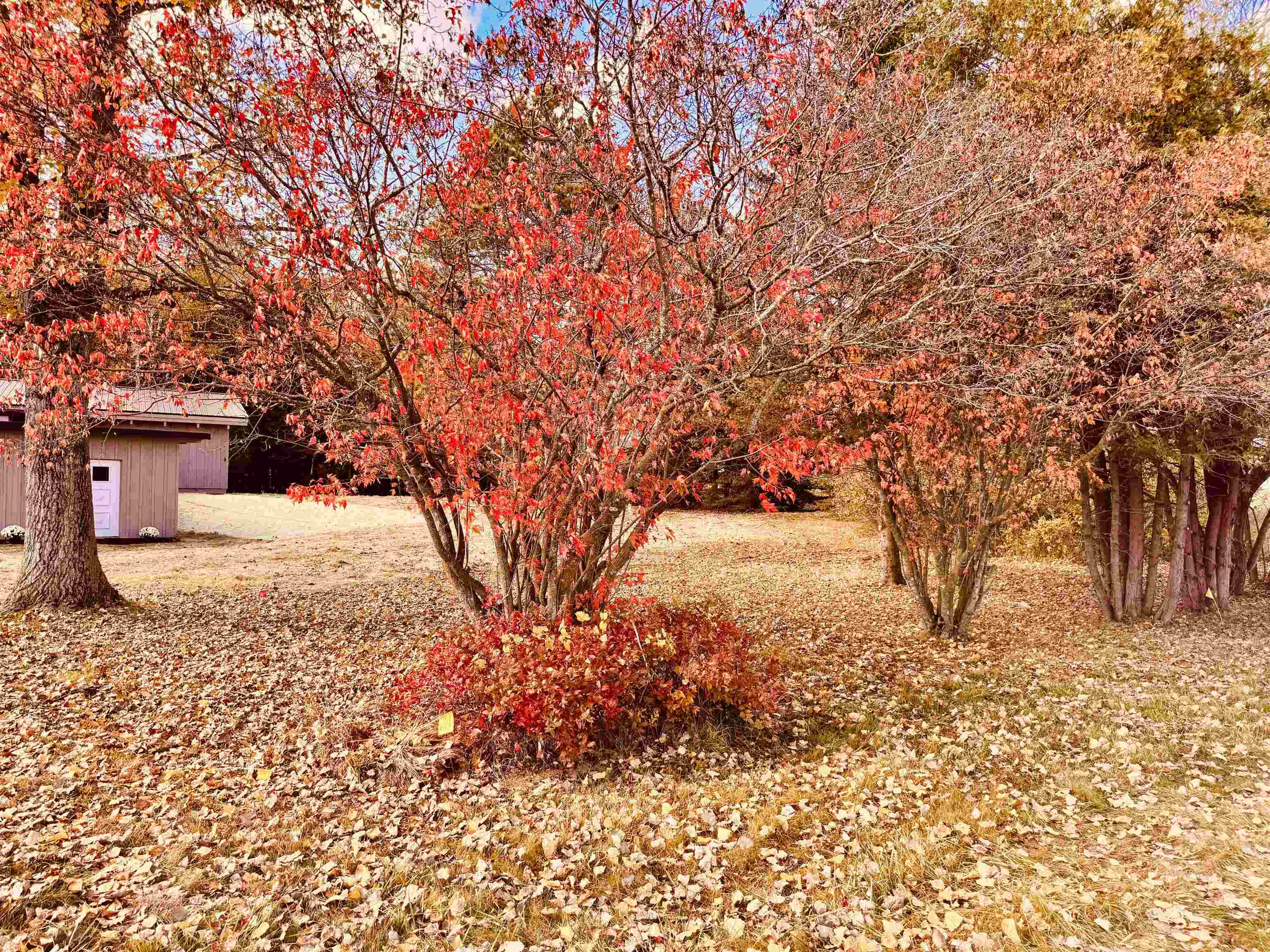 Pound, Wisconsin 54161, United States, 3 Bedrooms Bedrooms, ,2 BathroomsBathrooms,Residential,Active,230569