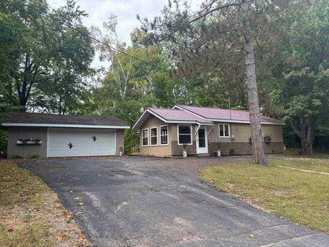 Photo of 18363 PICKEREL LAKE Road, TOWNSEND, WI 54175 (MLS # 50309452)
