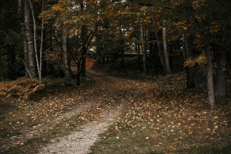 Long Lake, Wisconsin 54522, United States, 3 Bedrooms Bedrooms, ,1 BathroomBathrooms,Residential,Active,197668