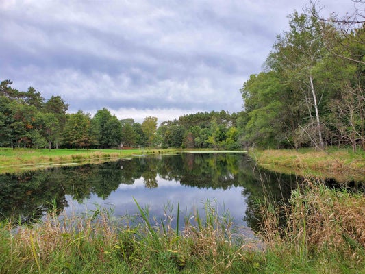 1000 COUNTY ROAD QQ, WAUPACA, WI 54981 - Image 8fbcb002e036fc3d622eb894258bc983/331538268