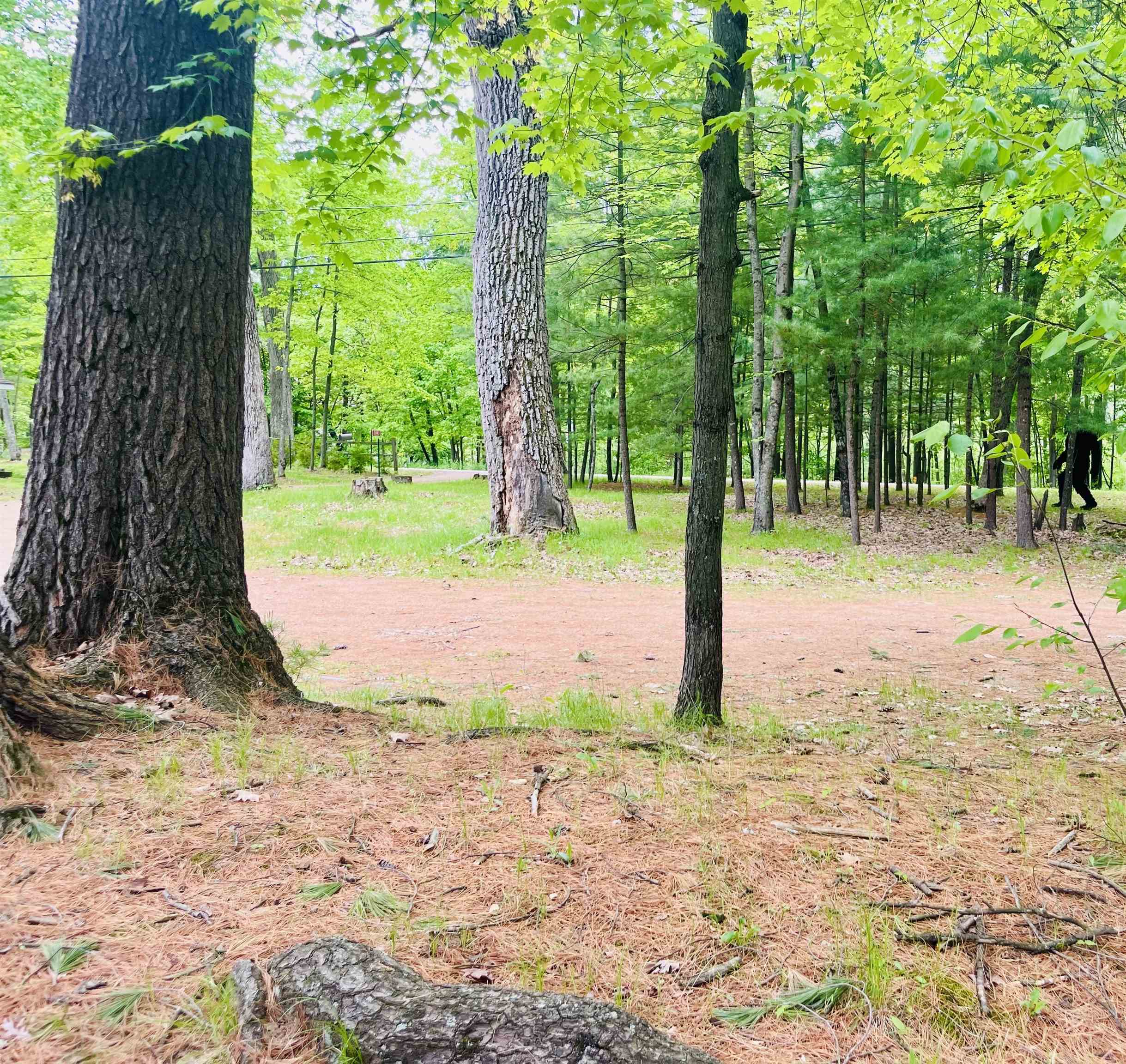 E1747 PINE RIDGE Lane