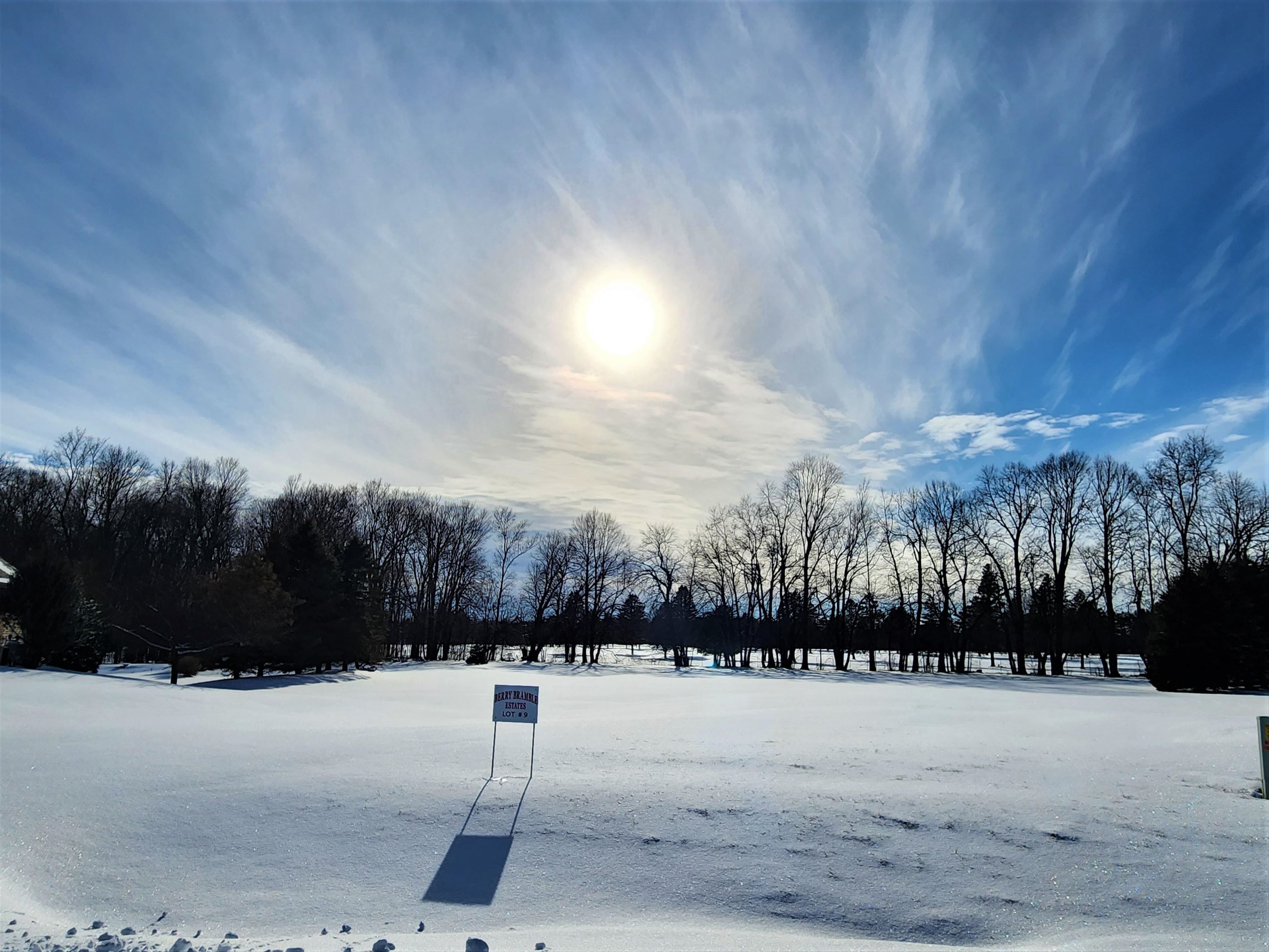 BERRY BRAMBLE Trail 9