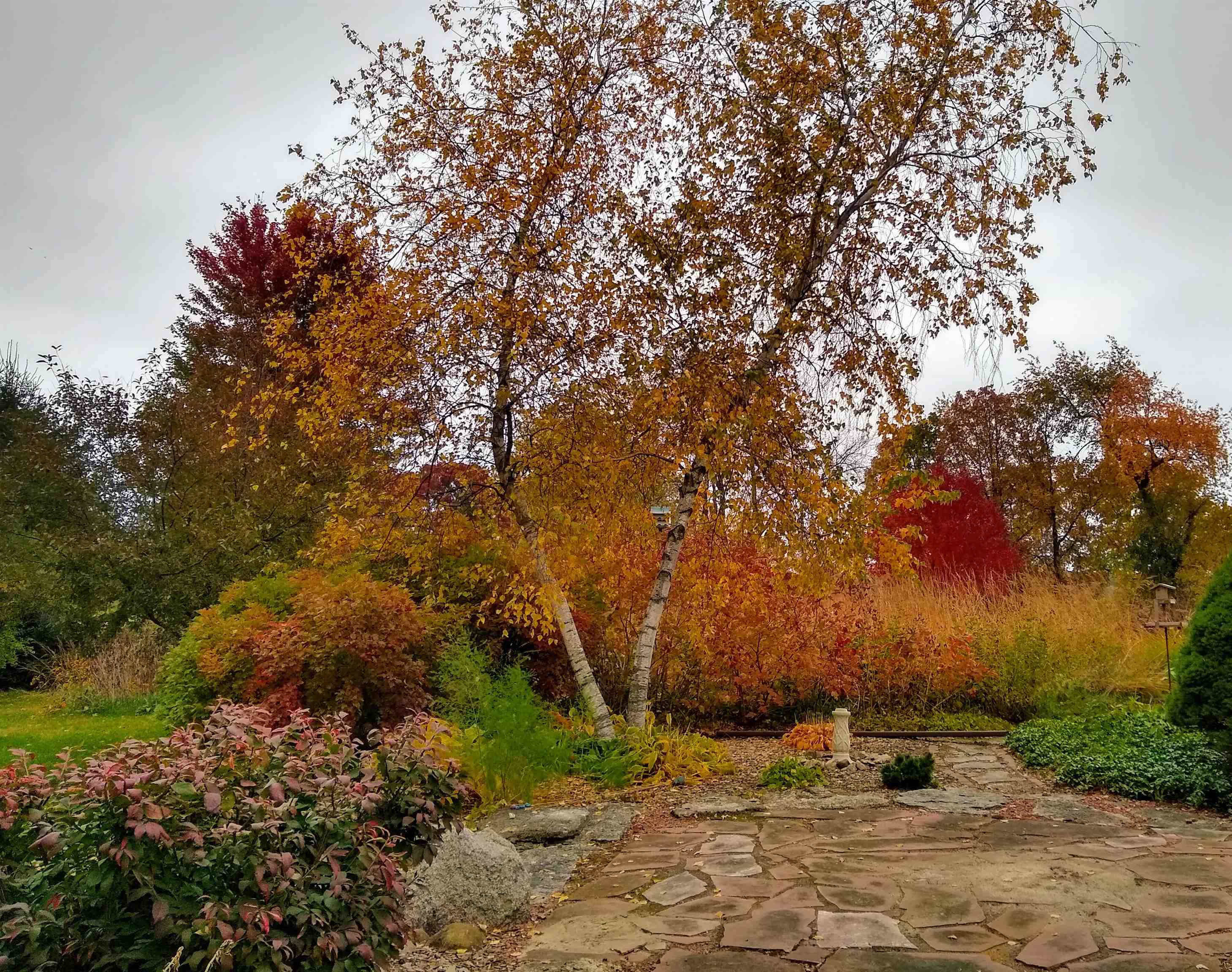 Brandon, Wisconsin 53919, United States, 2 Bedrooms Bedrooms, ,3 BathroomsBathrooms,Residential,Active,192208