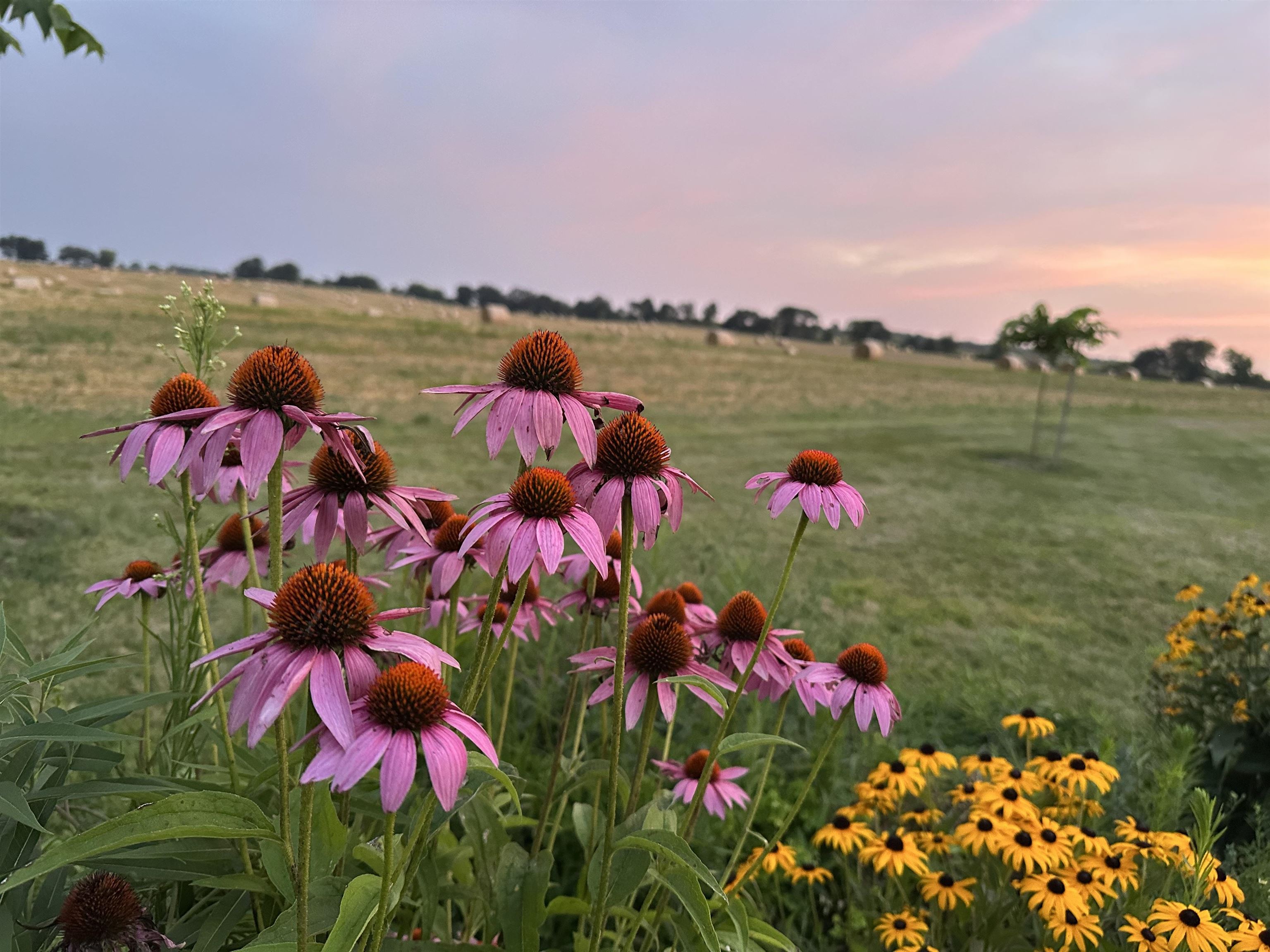 Brandon, Wisconsin 53919, United States, 2 Bedrooms Bedrooms, ,3 BathroomsBathrooms,Residential,Active,192208