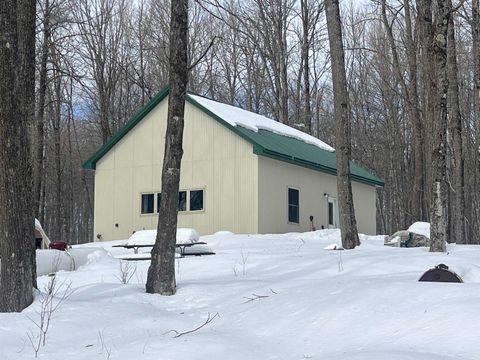 Photo of 5415 HAROLD HOWEN Road, NEWALD, WI 54511 (MLS # 50321798)