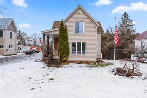 Photo of 703 DEPOT Street, MANAWA, WI 54949 (MLS # 50320047)