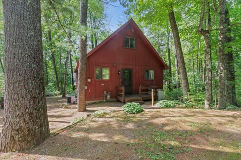 Photo of 14443 RIVER Road, MOUNTAIN, WI 54149 (MLS # 50307879)