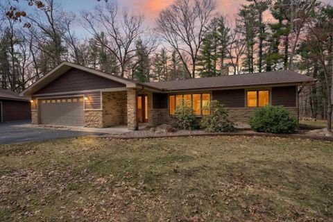 Photo of N2621 BAMBI Court, WAUTOMA, WI 54982 (MLS # 50323187)