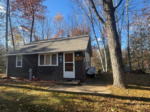 Photo of 15659 LEROY Lane, MOUNTAIN, WI 54149 (MLS # 50317675)