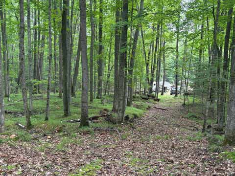 Photo of W15795 FAWN ACRES Road, GOODMAN, WI 54125 (MLS # 50330259)