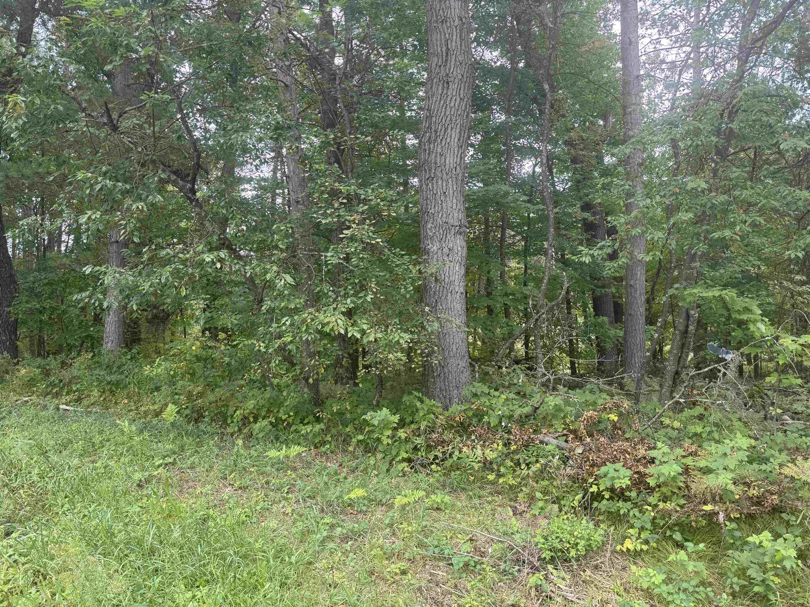 Photo 1 of 8 — KNOLLWOOD Court 75, SHAWANO, WI 54166