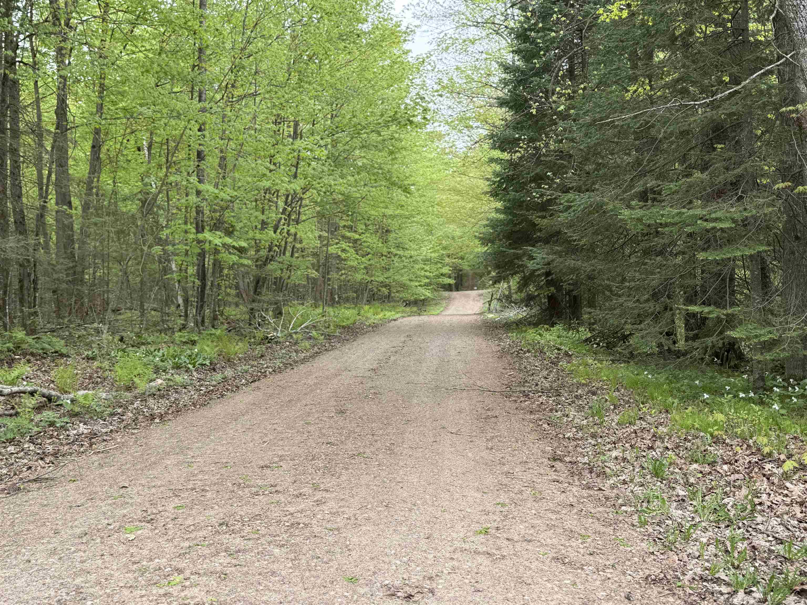 Deerbrook, Wisconsin 54424, United States, 2 Bedrooms Bedrooms, ,1 BathroomBathrooms,Residential,Active,133486