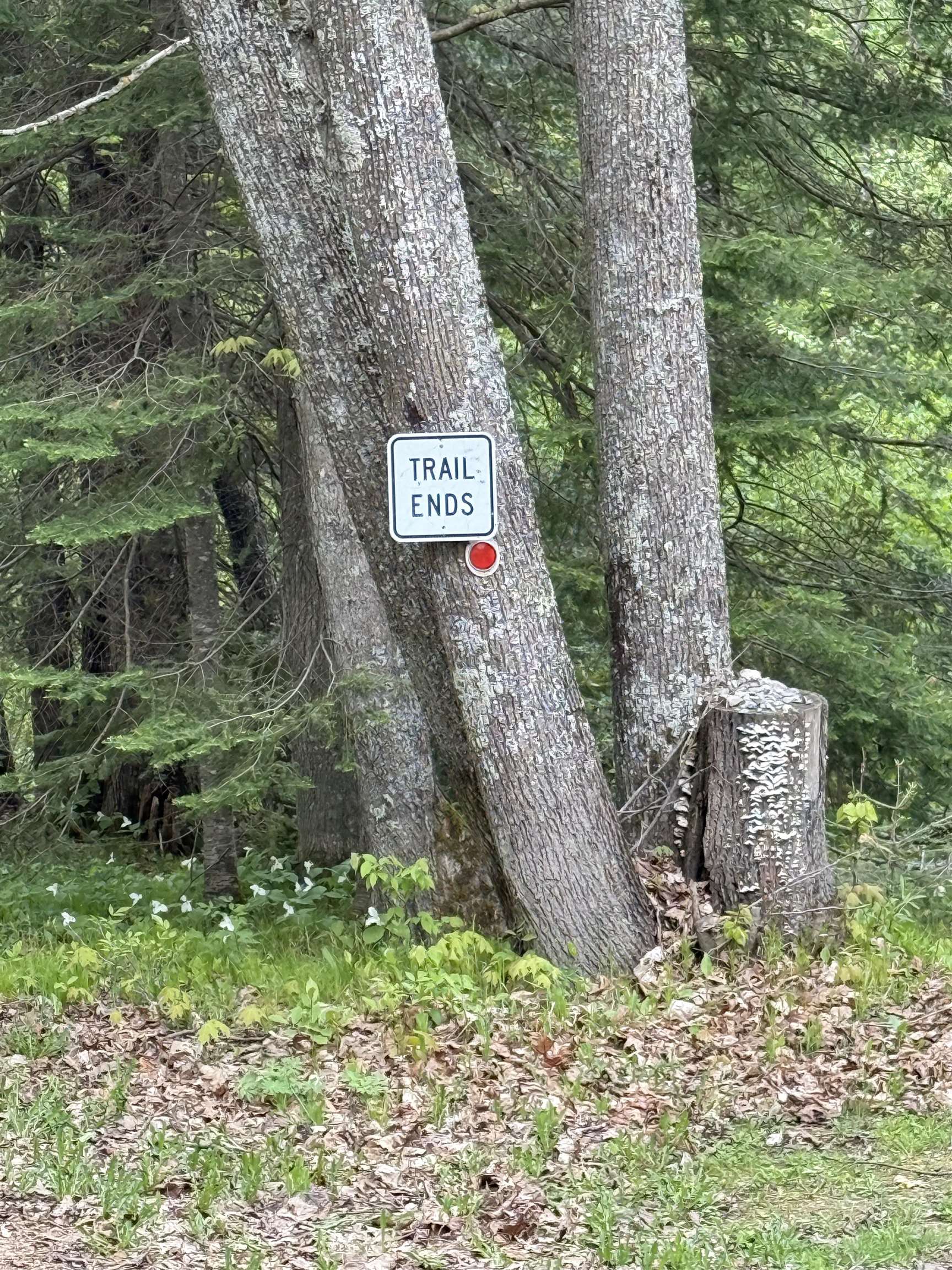 Deerbrook, Wisconsin 54424, United States, 2 Bedrooms Bedrooms, ,1 BathroomBathrooms,Residential,Active,133486