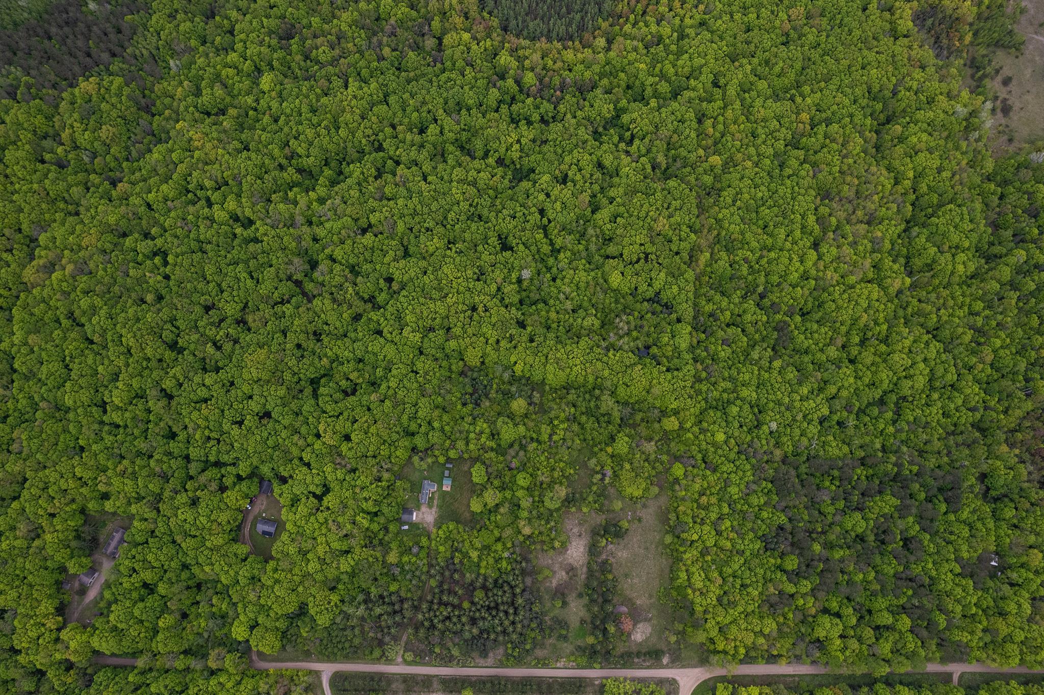 Deerbrook, Wisconsin 54424, United States, 2 Bedrooms Bedrooms, ,1 BathroomBathrooms,Residential,Active,133486