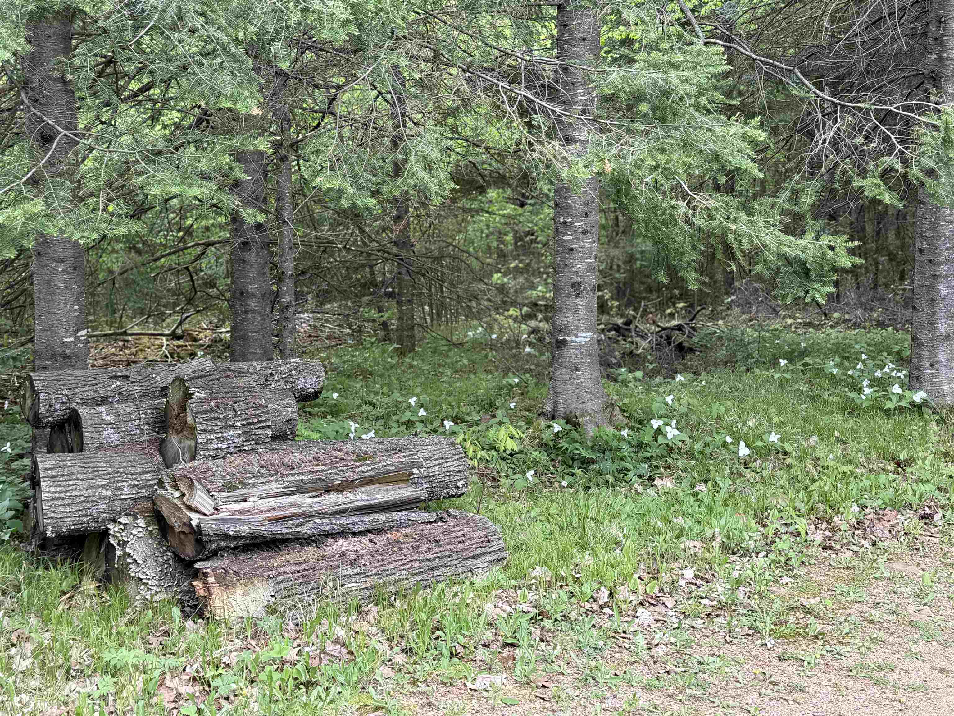 Deerbrook, Wisconsin 54424, United States, 2 Bedrooms Bedrooms, ,1 BathroomBathrooms,Residential,Active,133486