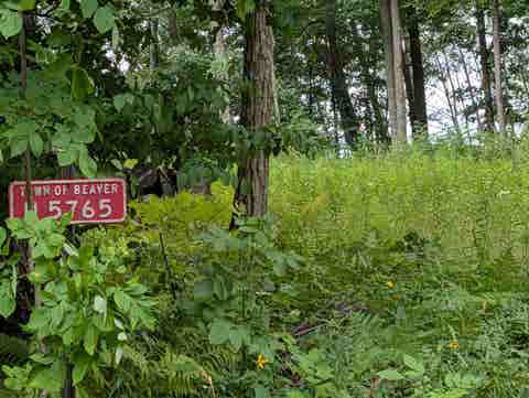 Photo of N5765 PARKWAY Road, POUND, WI 54161 (MLS # 50330364)