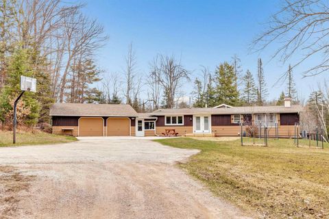Photo of N11598 KOSIR Lane, ATHELSTANE, WI 54104 (MLS # 50306845)