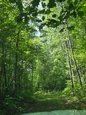 RIGHT OF WAY RD, PEMBINE, WI 54156 - Image b0fccf2afb7d2fd2849fddae691552d6/3899043612
