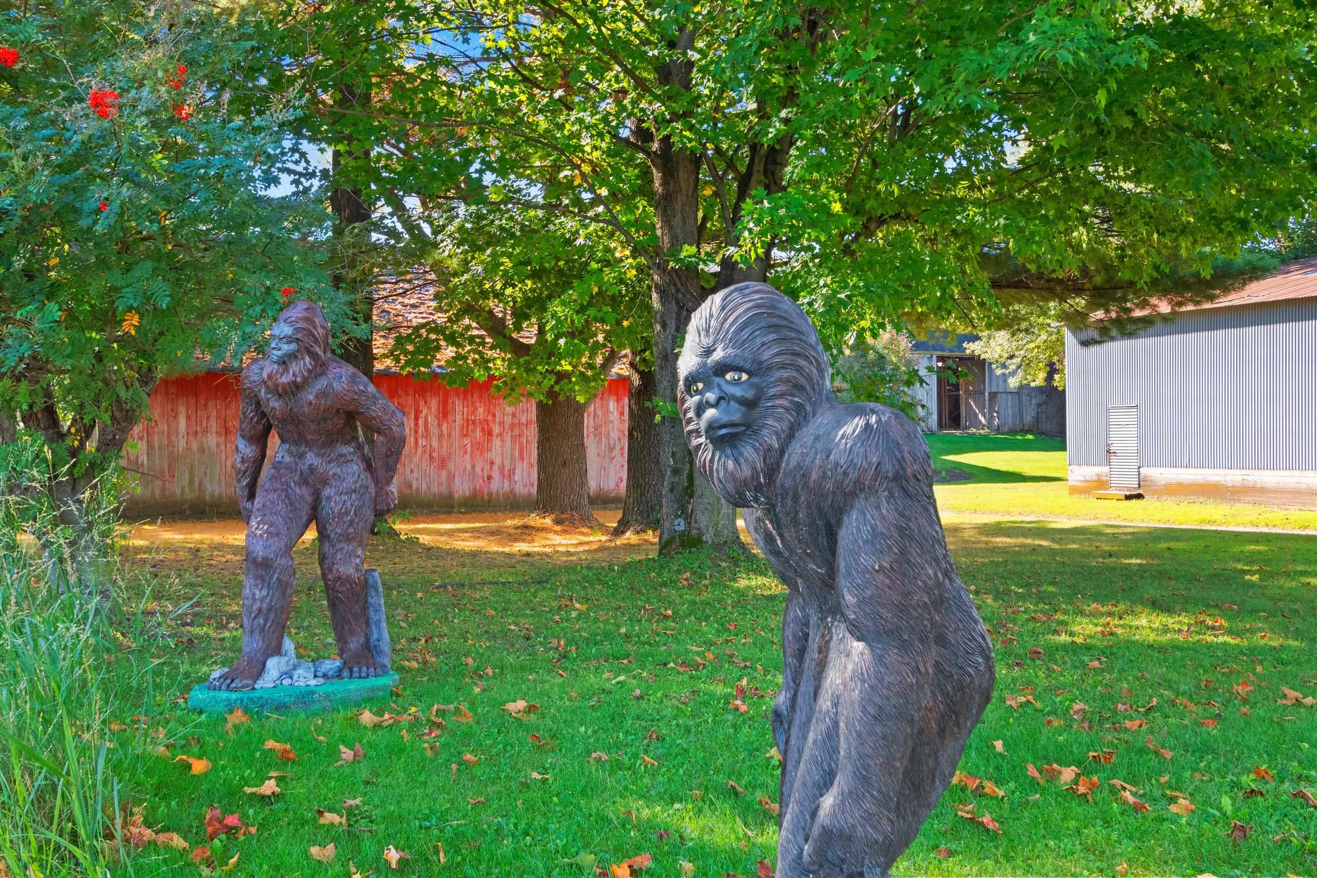 Clintonville, Wisconsin 54929, United States, ,Commercial,Active,219154