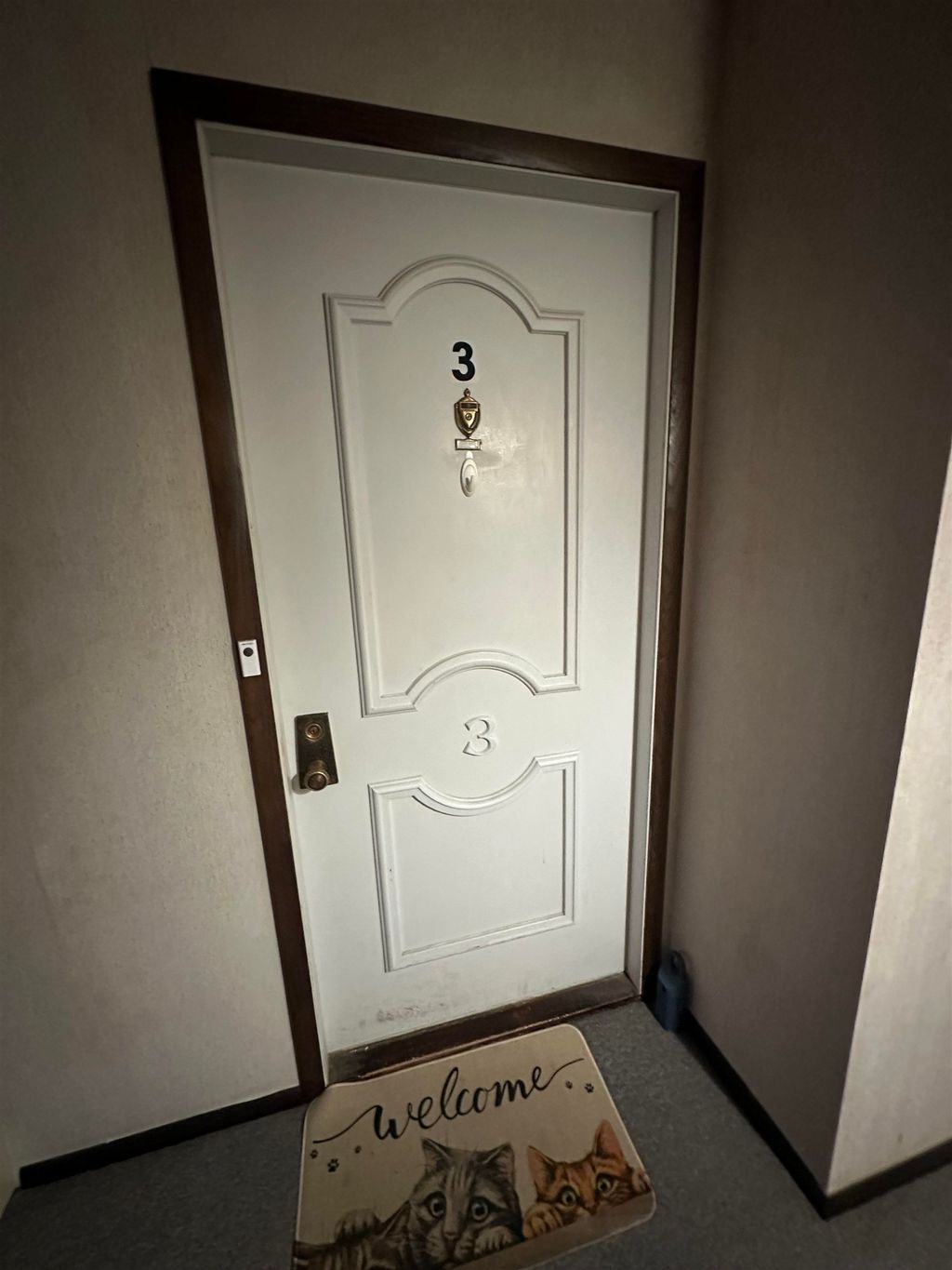 Photo of 3184 JUSTIN Court #3, APPLETON, WI 54914 (MLS # 50318682)