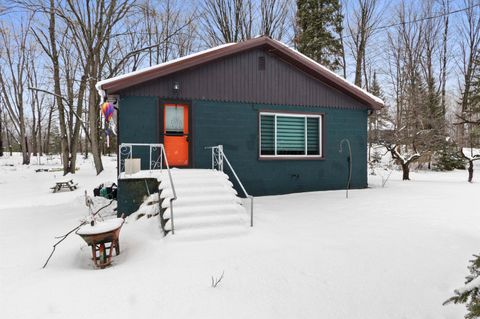 Photo of N8719 PINES Road, WAUSAUKEE, WI 54177 (MLS # 50319718)