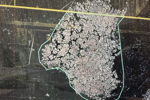 Photo of ISLAND Drive, IOLA, WI 54945 (MLS # 50321861)