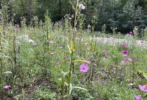 Photo of EVERGREEN Drive #25, WAUTOMA, WI 54982 (MLS # 50321494)