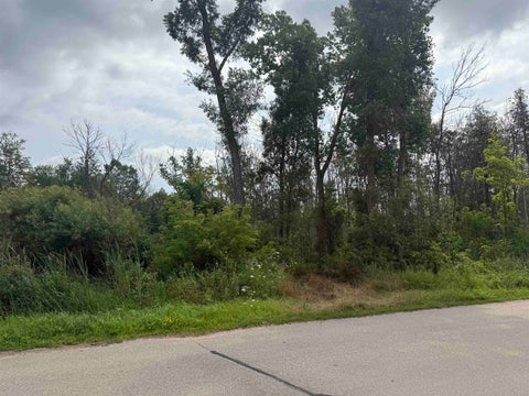Photo of DEPOT Street, BONDUEL, WI 54107 (MLS # 50330477)